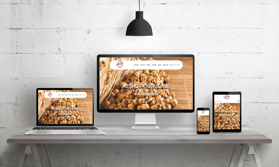 KURUYEMİŞ WEB SİTESİ V1