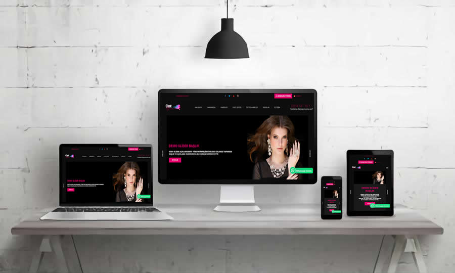 CAST AJANS WEB SİTESİ V1