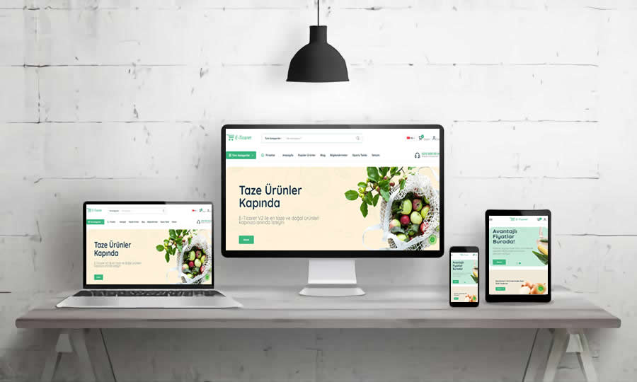 ORGANİK GIDA SATIŞ WEB SİTESİ v2